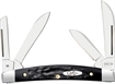Picture of CASE KNIVES SMALL CONGRESS BLACK SYN 18238