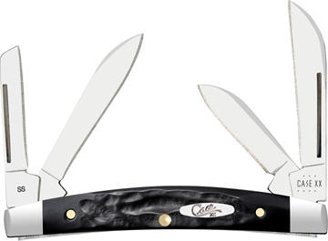 Picture of CASE KNIVES SMALL CONGRESS BLACK SYN 18238