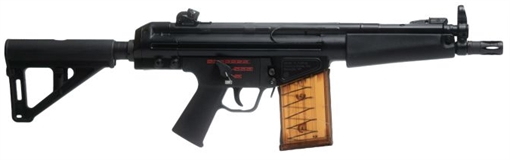 Picture of CENTURY ARMS AP51 7.62X51 MAGPUL BSL BRACE    HG7887MB-N
