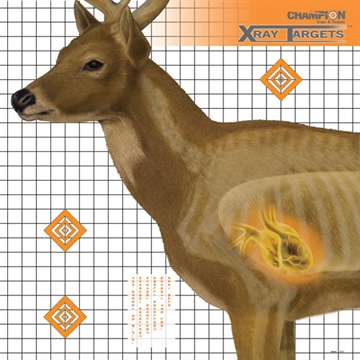 Picture of Champion X-Ray Paper Target - Deer Target 25"x25" (6-Pack) 45902