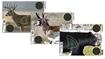 Picture of Champion Visicolor Real Life Target - Big Game 45829