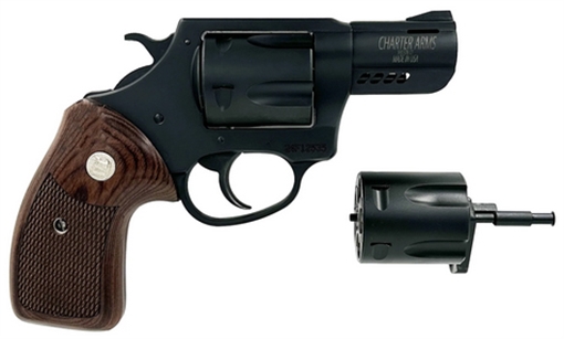 Picture of CHARTER ARMS DOUBLE DOG 357MAG/9MM SHOOTER Z13920