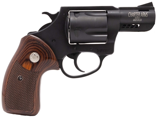 Picture of CHARTER ARMS MAGAZINE PUG COMBO 357 DA 2B 13920-CHT