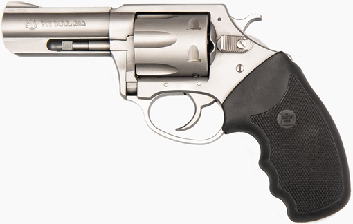 Picture of CHARTER ARMS PIT BULL 380ACP 3 FS SS 6RD SHOOTER Z73802