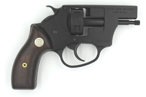 Picture of Charter Arms - PRO 22 22 Blank 6rd Wood Grip Standard Hammer Black/Black Passivate 82291