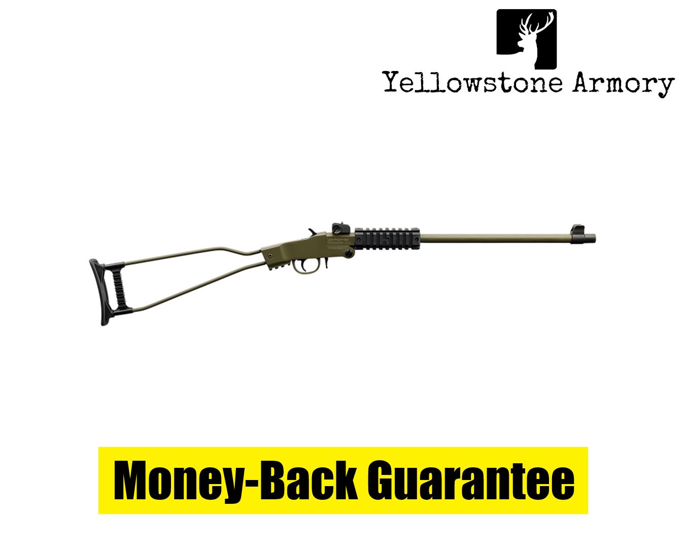 CHIAPPA FIREARMS 500266-img-0