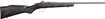 Picture of CHIPMUNK RIFLE 22LR STAINLESS/BLACK LAMINATE 10003