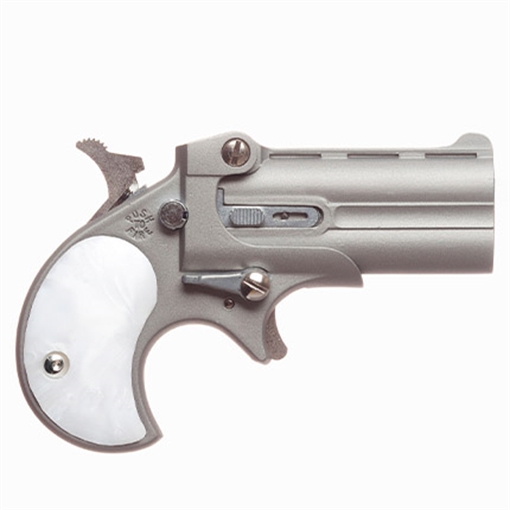 Picture of Classic Derringer .22LR Sat 2r CL22LSP