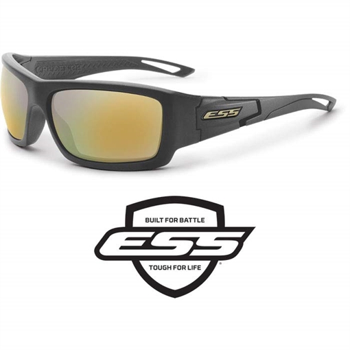 Picture of ESS EYEWEAR Credence Gray w Mirror Brass EE9015-19