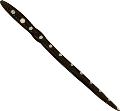 Picture of CREME LURES SCOUNDREL 8" 9PK BLK/WHT DOTS 372-99-7