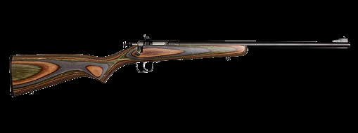 Picture of Chipmunk Gen2 22 LR 1rd 16.10" Blued Tapered Single Shot Barrel, Fixed Camo Laminate Stock 00005