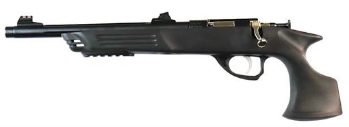 Picture of Crickett Adult Pistol 22 LR 1rd 10.50" Blued Threaded Barrel w/Cap, Williams Fire Sights, Integrated Picatinny Accessory Rail, Synthetic Grip, Rebounding Firing Pin Safety KSA693