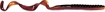 Picture of CULPRIT 7.5" WORM 18BG - PLUM CRAZY C720-49