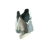Picture of Cupped Feeder Butt Drake Decoy CU8703