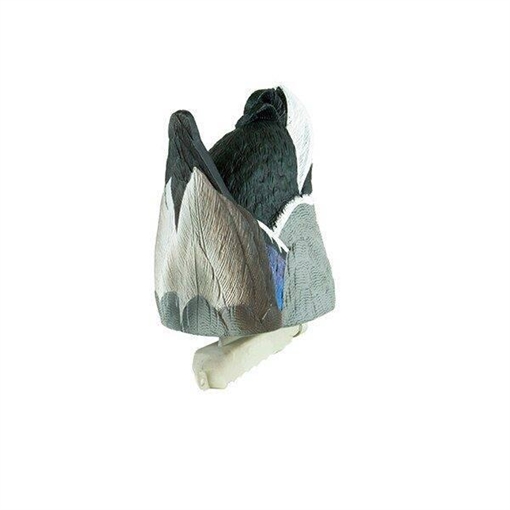 Picture of Cupped Feeder Butt Drake Decoy CU8703