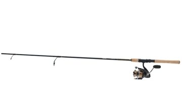 Picture of DAIWA BG 1P 6+1 7' SPIN COMBO BG3000/701M