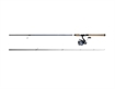 Picture of DAIWA CF INSHORE SPIN COMBO 7' MH CFILT40F701MHFS