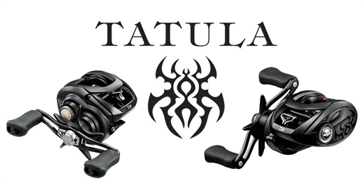 Picture of DAIWA TATULA 100 BAITCAST REEL TATU100XH