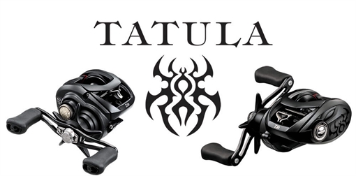 Picture of DAIWA TATULA 100 BAITCAST REEL LH TATU100HL