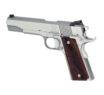Picture of Dan Wesson Razorback RZ-10 Pistol - 01907 DW-RZ10-10MM-SS