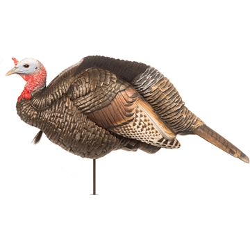 Picture of Dave Smith Decoys 3/4 Strut e Decoy JAK