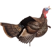 Picture of Dave Smith Decoys Posturing Jake Decoy PJS