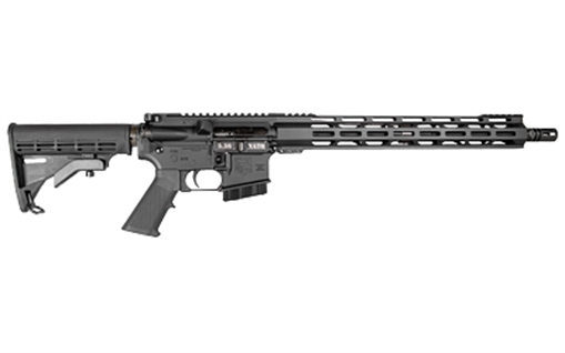 Picture of DBF DB15 5.56 16" MLOK 10RD BLK DB172AK001