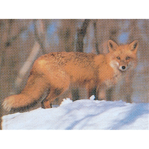 Picture of Delta McKenzie Delta McKenzie Tru-Life Target Fox 70535