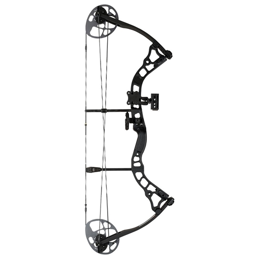 Picture of Diamond Prism Bow Package Black 18-30 in. 5-55 lbs. LH B12711