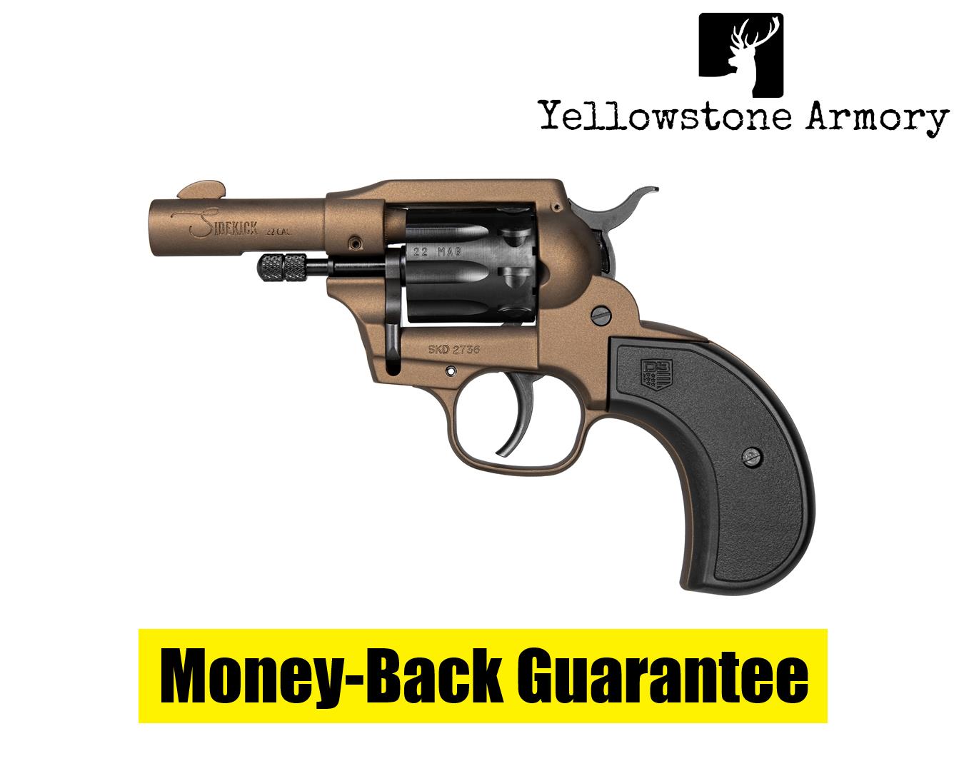 Diamondback DB Birdshead Sidekick Revolver 22 LR/Mag 3 in. DB0600A071-img-0