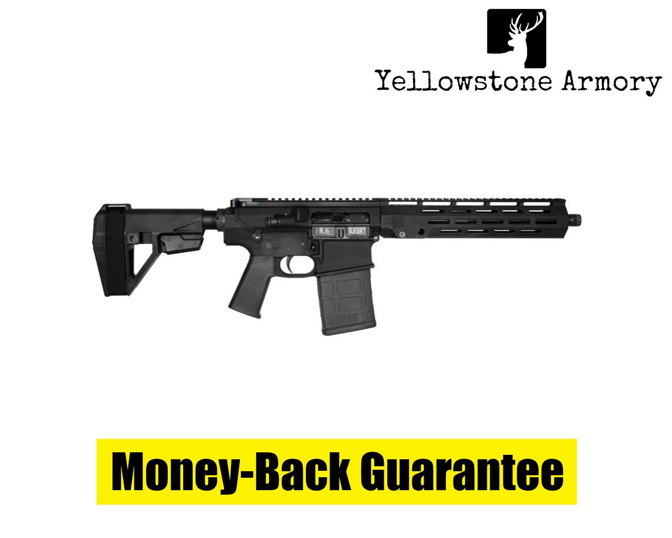 DIAMONDBACK FIREARMS DB10 8.6BLK 12 TB SBT SBA5 PSB MAGPUL 20RD DB1200W001-img-0