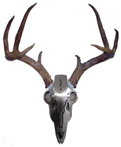 Picture of DNZ PRODUCTS HORN MOUNTING KIT IRON BUCK IBAM2