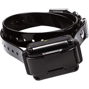 Picture of Dogtra Collar 1-Dog Unit 200IQ