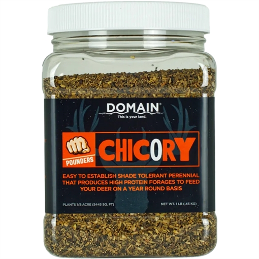 Picture of Domain Domain Chicory Pounder Seed 1/8 Acre DCS1LB