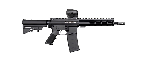 Picture of DPMS SHORTACLE 300BLK PISTOL 10.5" BBL, 9.5" MLOK RAIL, CAR15 BRACE 1-30RD MAG W/ VORTX SPARC DP51655231683-KT