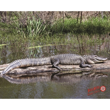 Picture of DuraMesh DuraMesh Archery Target Alligator 25 in. x 32 in. DM224