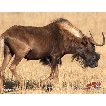 Picture of Western Recreation DuraMesh Archery Target Black Wildebeest 25 in. x 32 in. DM233