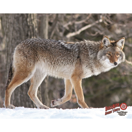 Picture of DuraMesh DuraMesh Archery Target Coyote 25 in. x 32 in. DM209