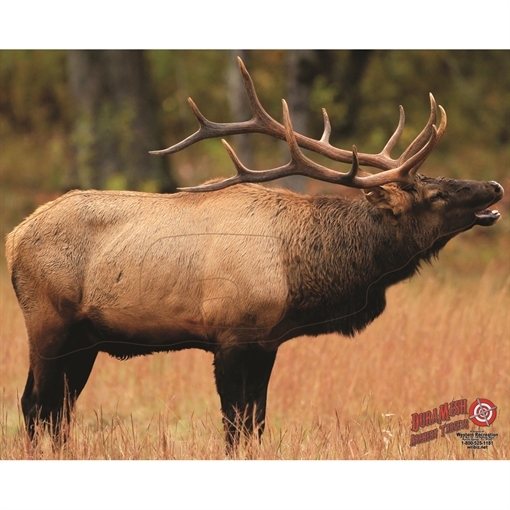 Picture of DuraMesh DuraMesh Archery Target Elk 1 25 in. x 32 in. DM206