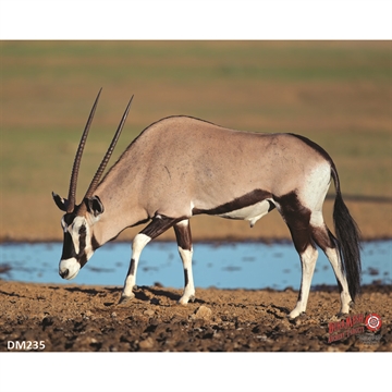 Picture of DuraMesh Archery Target Gemsbuck 25 in. x 32 in. DM235
