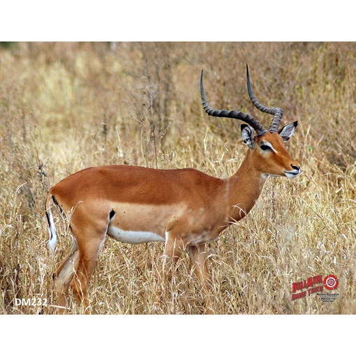 Picture of DuraMesh Archery Target Impala 25 in. x 32 in. DM232