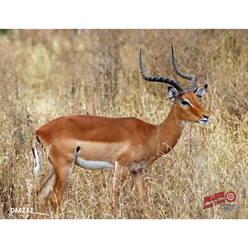 Picture of DuraMesh Archery Target Impala 25 in. x 32 in. DM232
