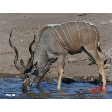 Picture of DuraMesh Archery Target Kudu 25 in. x 32 in. DM230