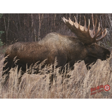 Picture of DuraMesh DuraMesh Archery Target Moose 25 in. x 32 in. DM214