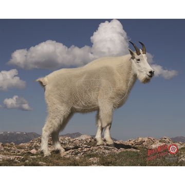Picture of DuraMesh DuraMesh Archery Target Mountain Goat 25 in. x 32 in. DM225