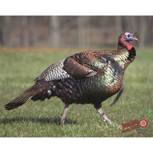 Picture of DuraMesh DuraMesh Archery Target Turkey 25 in. x 32 in. DM217