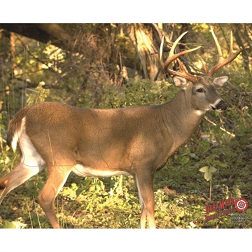 Picture of DuraMesh DuraMesh Archery Target Whitetail 3 25 in. x 32 in. DM221