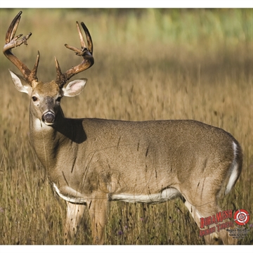 Picture of DuraMesh Archery Target Whitetail 4 25 in. x 32 DM222