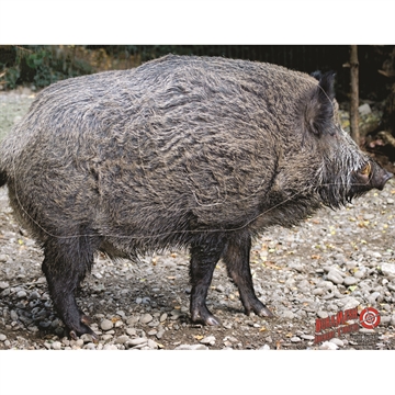 Picture of DuraMesh Archery Target Wild Boar 25 in. x 32 in. DM200