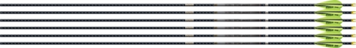 Picture of EASTON 4MM EMJ MATCH GRADE 340 6-PACK W/ 3" AAE HYBRID VANES 001392